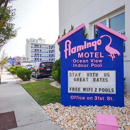 Flamingo Motel Ocean City Bagian luar foto