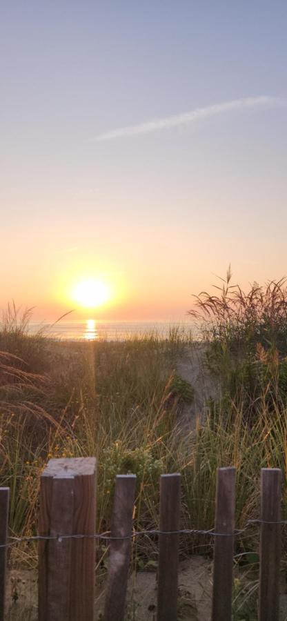 Flamingo Motel Ocean City Bagian luar foto