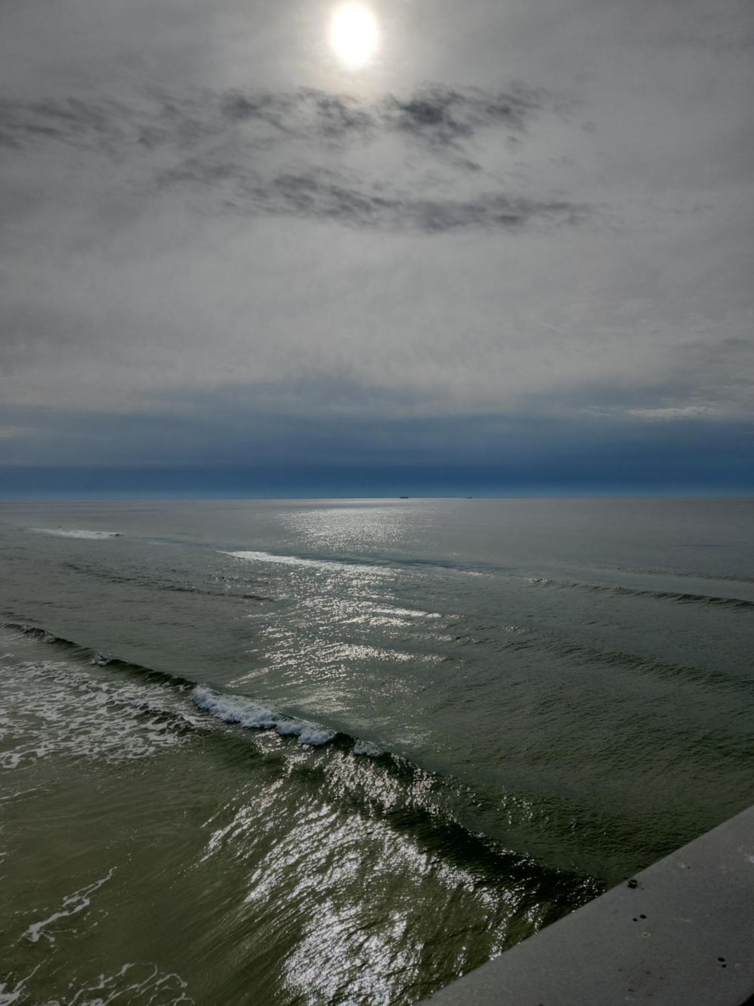 Flamingo Motel Ocean City Bagian luar foto