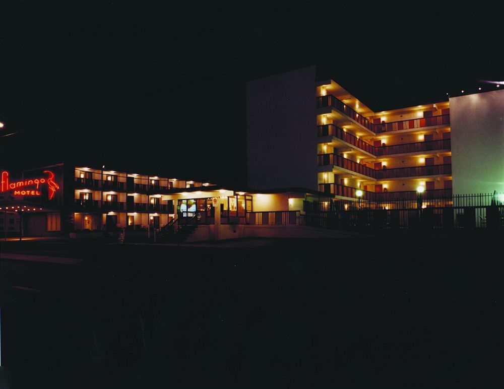 Flamingo Motel Ocean City Bagian luar foto