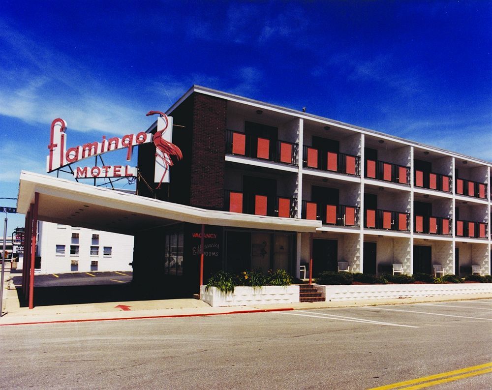 Flamingo Motel Ocean City Bagian luar foto